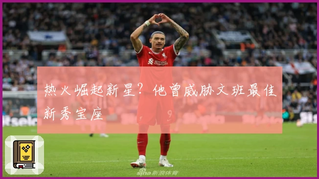 热火崛起新星？他曾威胁文班最佳新秀宝座