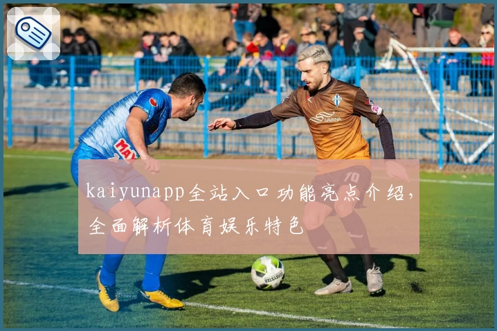kaiyunapp全站入口功能亮点介绍，全面解析体育娱乐特色