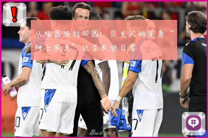 从绿茵场到田园：贝克汉姆变身“绅士农夫”记录农场日常