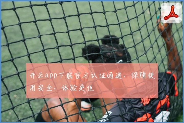 开云app下载官方认证通道，保障使用安全，体验更佳